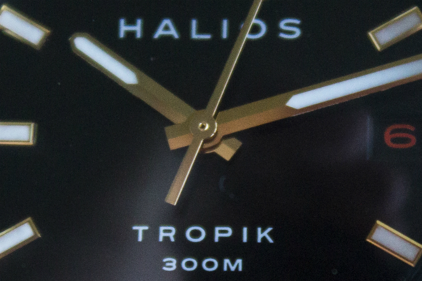 WATCH WINNER REVIEW: Halios Tropik B Giveaways 