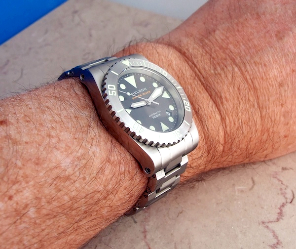 Helson Shark Diver 40 Watch Review Wrist Time Reviews 