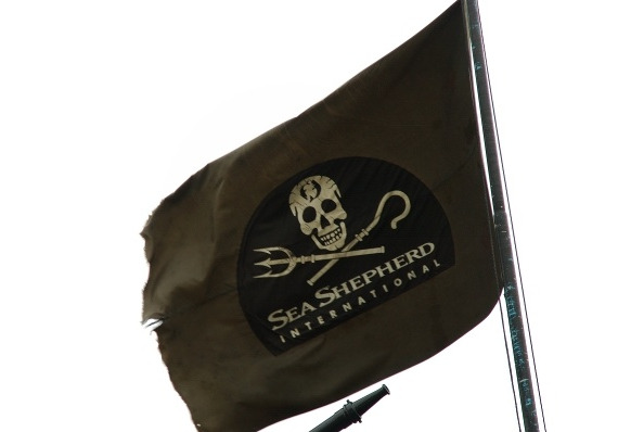 Tempvs Compvtare Sea Shepherd Watch Watch Releases 