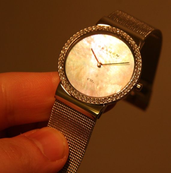 Skagen Steel Mesh and Crystal Model 644LSS Ladies' Watch Review Wrist Time Reviews 