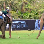 Audemars Piguet as the official timekeeper of 2016 King’s Cup Elephant Polo Tournament 02